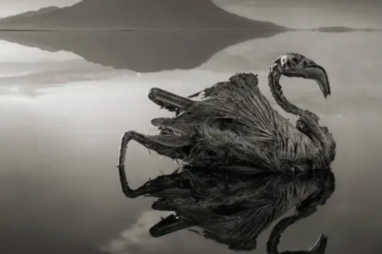 Lago Natrón, en Tanzania; El lago misterioso que "petrifica" animales y alcanza temperaturas extremas