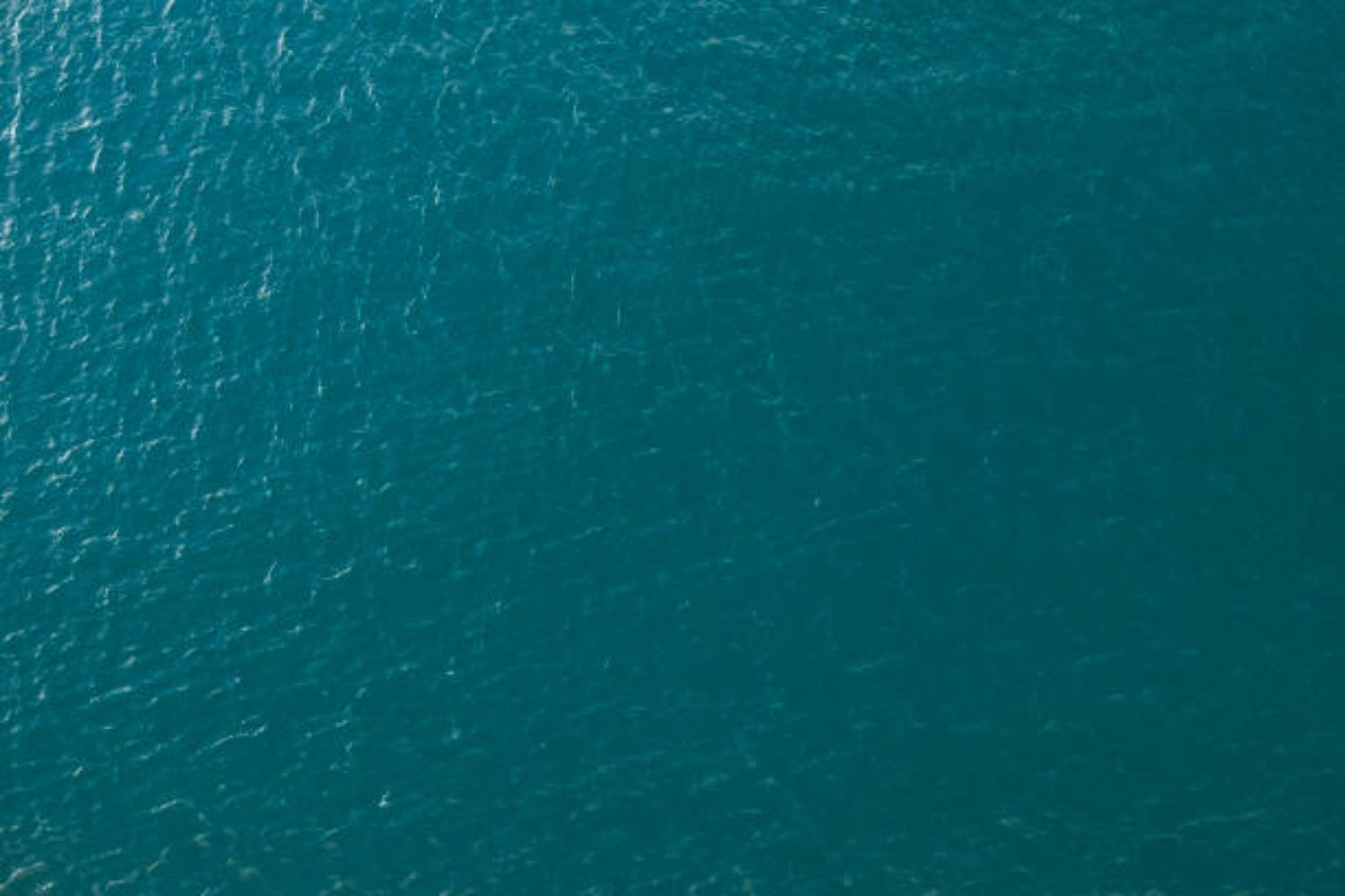 Lo que yace bajo estas aguas cristalinas podría cambiar lo que sabemos del Pacífico