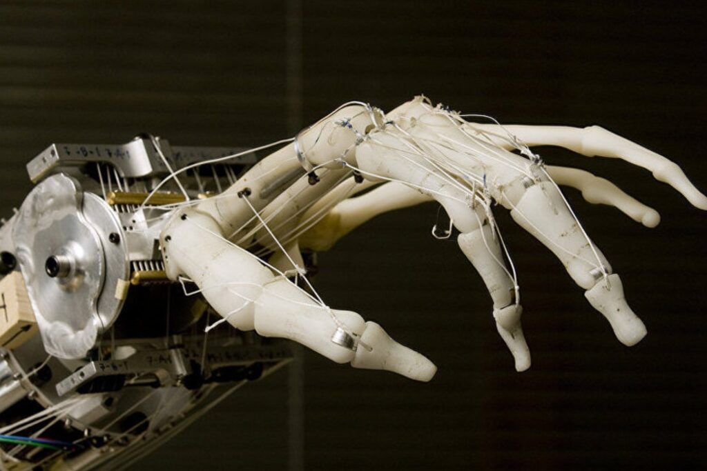 La mano robótica que se fatiga como tú: ciencia crea músculos 'vivos' que se cansan y se recuperan