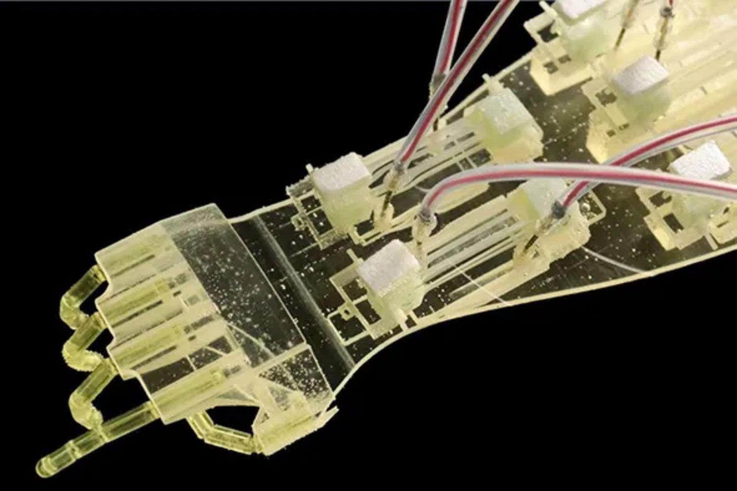 La mano robótica que se fatiga como tú: ciencia crea músculos 'vivos' que se cansan y se recuperan