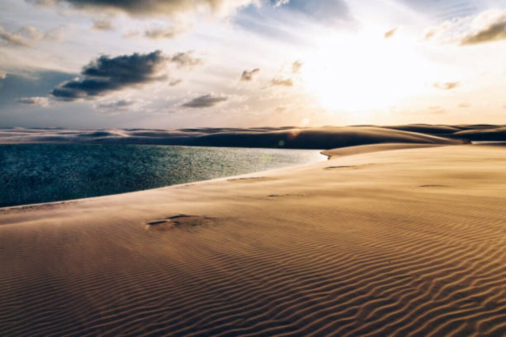 El lugar donde el desierto se llena de agua: Un fenómeno natural fascinante en el corazón de América Latina
