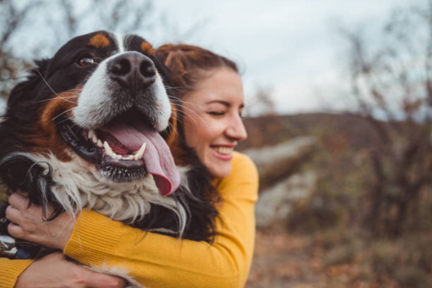 El sorprendente lenguaje secreto de los perros que apenas estamos descubriendo