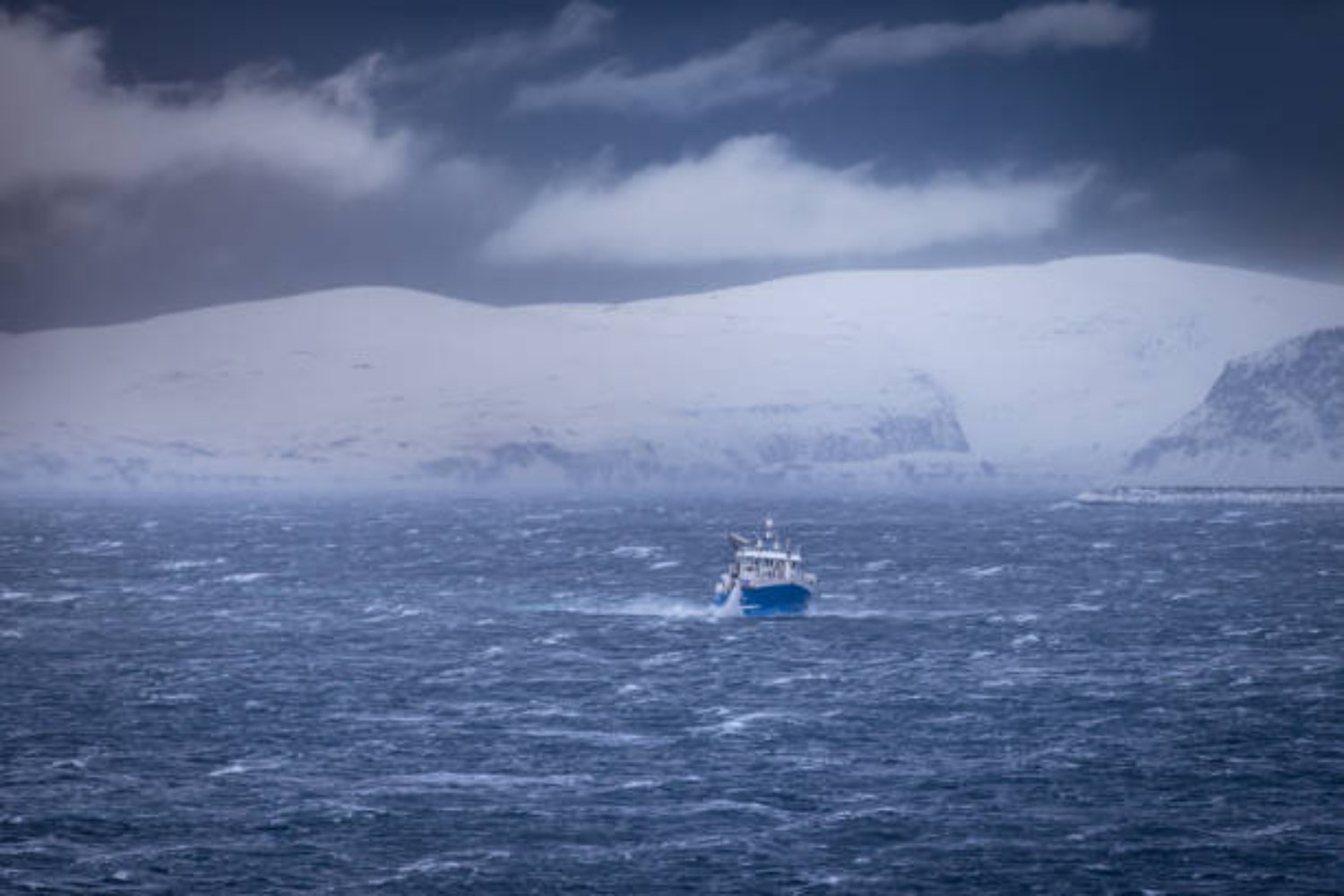 Japón deja atrás la caza de ballenas y se lanza a conquistar algo mucho más grande