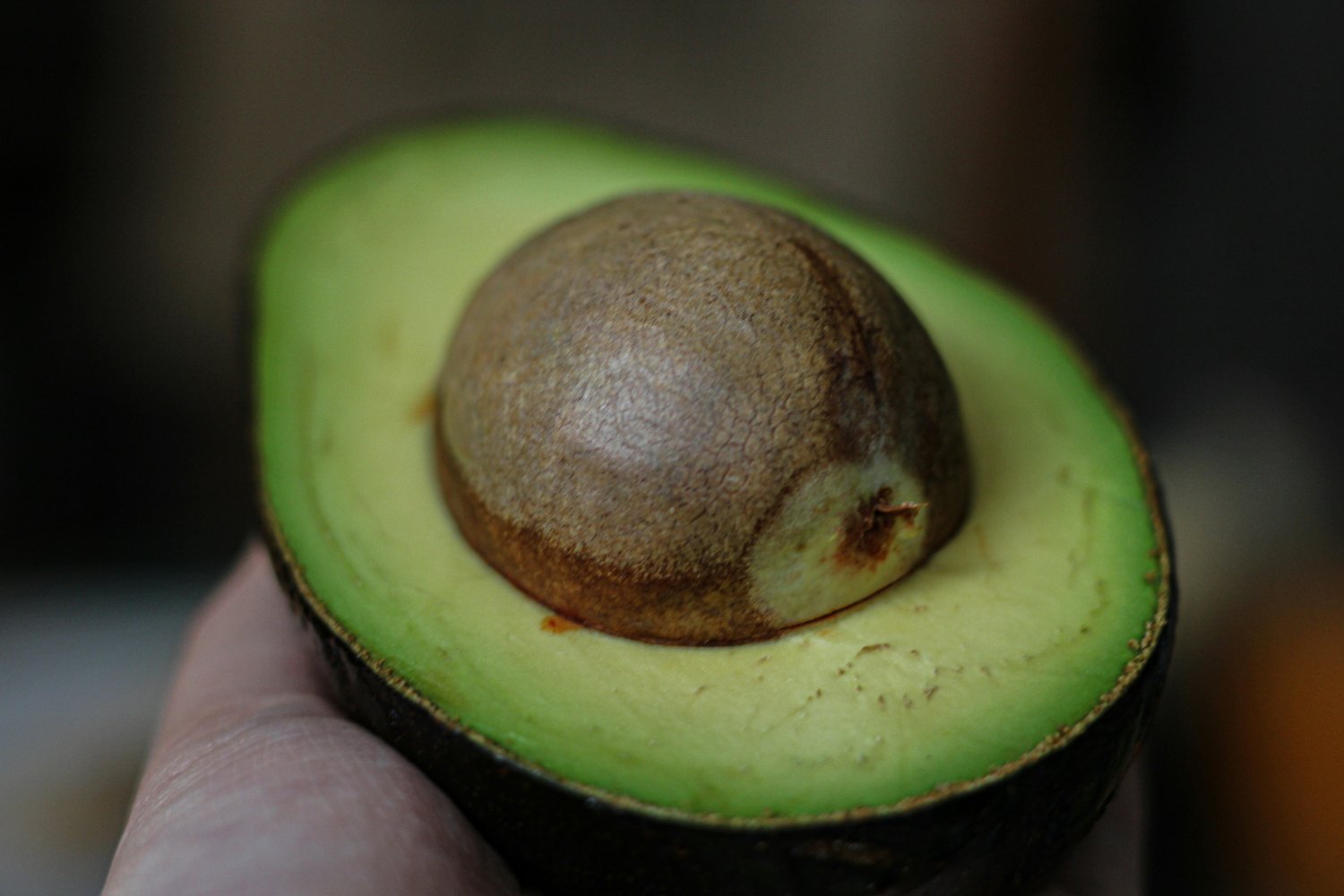 Aguacates