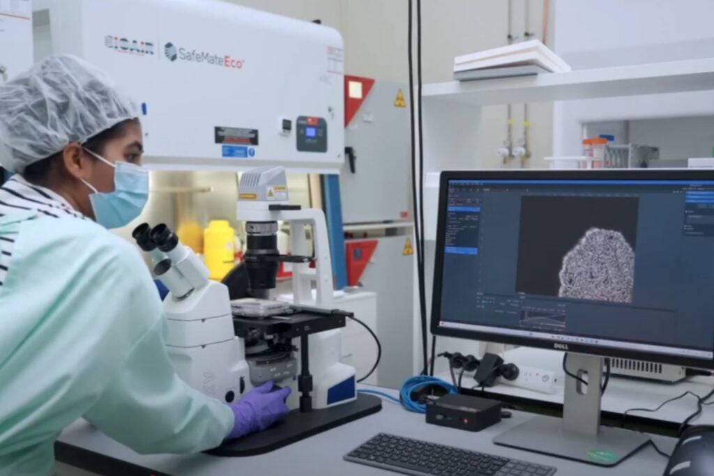 Ordenador Con Neuronas