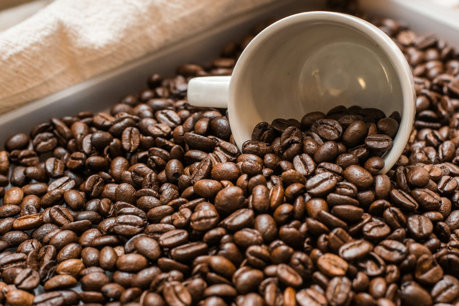 Precio Del Cafe