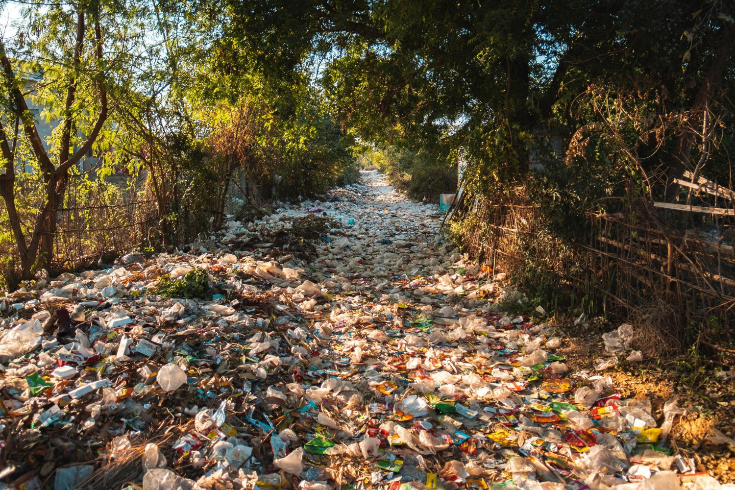 Cómo un pequeño gesto cambió todo (y nadie se dio cuenta).