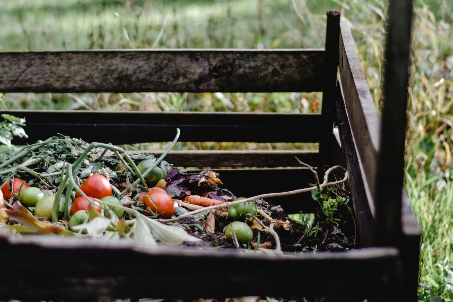 Activar el compostaje comunitario en tu barrio