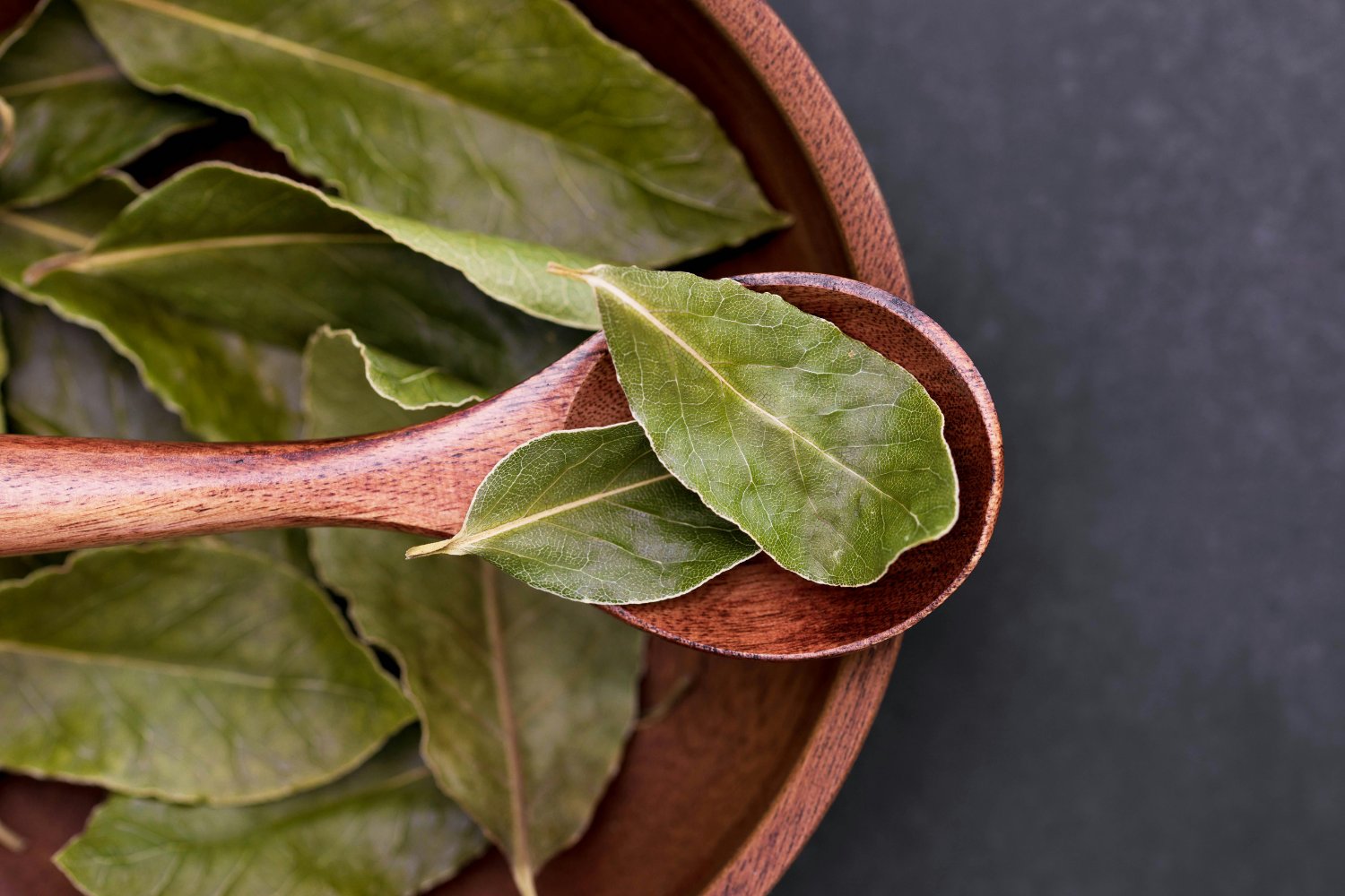 El ritual matutino con hierbas que calma la mente y potencia la memoria: un secreto milenario que vuelve