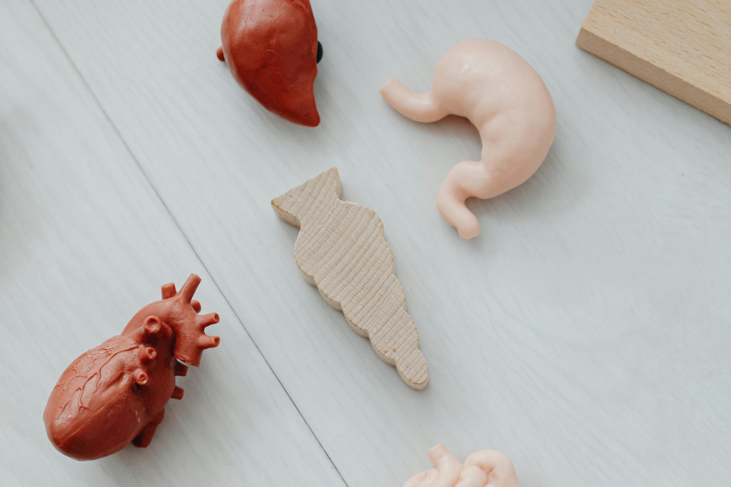 ¿Qué sucede realmente en tus riñones si comes naranjas todos los días?