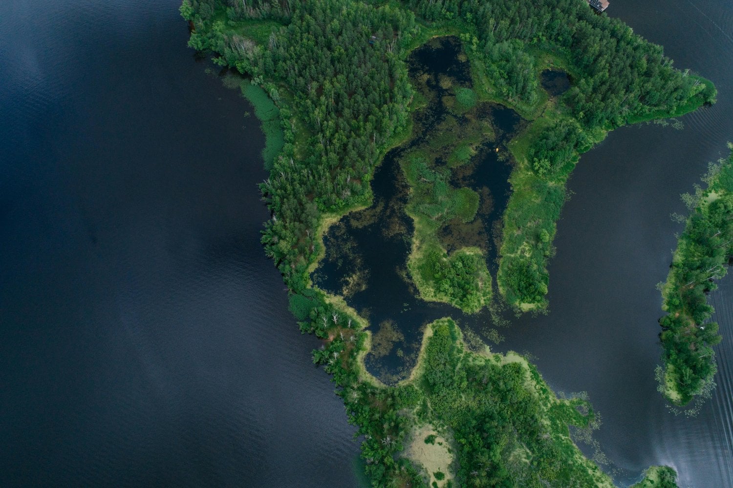 El satélite que promete revelar un misterio oculto bajo los bosques del planeta
