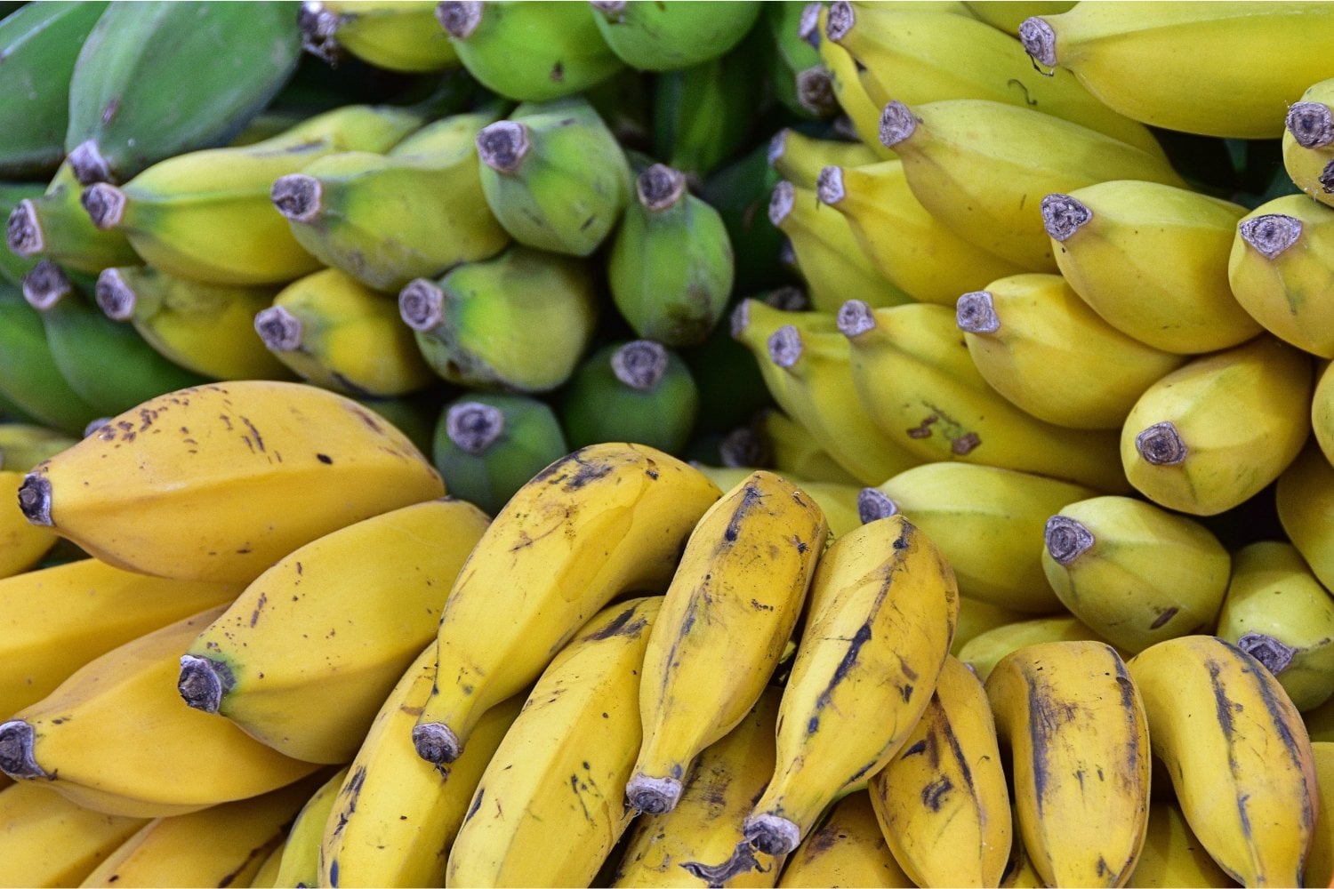 Descubre el secreto detrás de una fruta que puede mejorar tu energía, tu digestión ¡y hasta tu sueño!