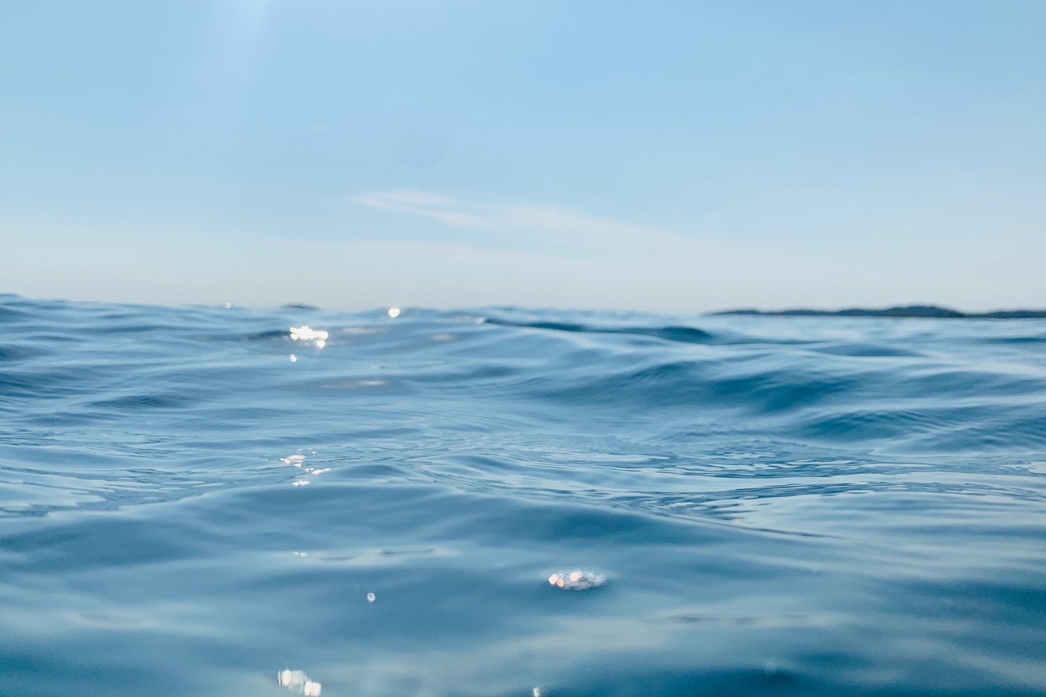 Cómo se reescribe la historia del megalodón