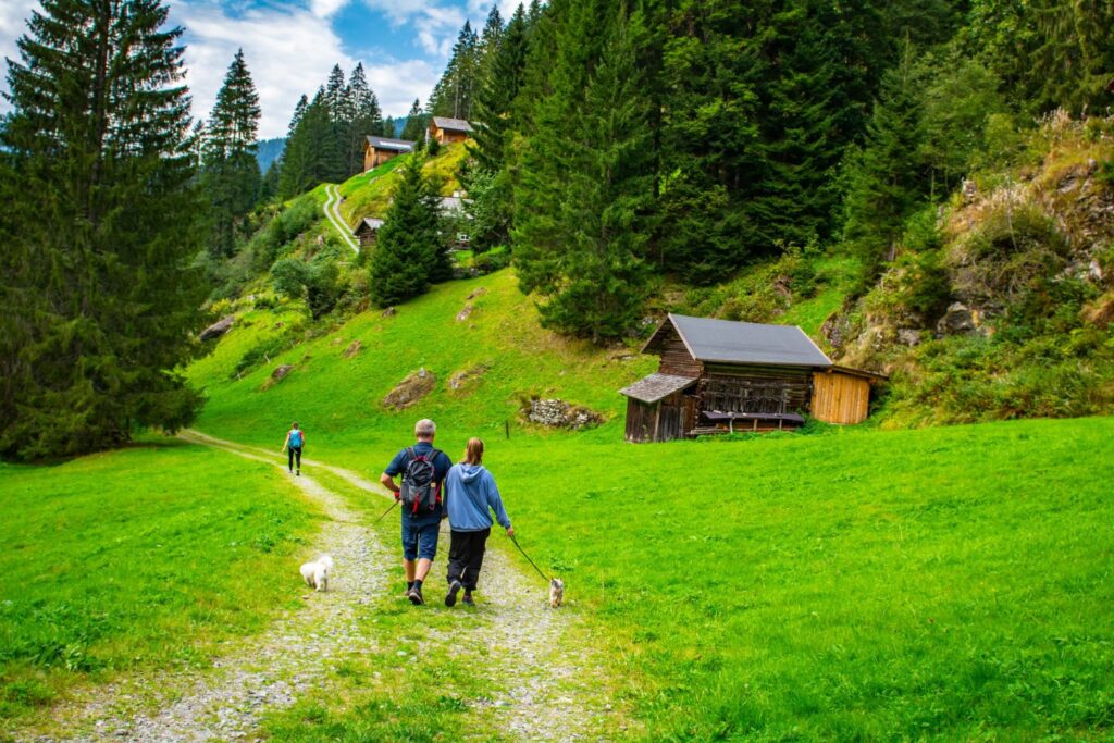Caminar o bicicleta: descubre cuál ejercicio quema más calorías y cómo mejorar tu forma física después de los 50