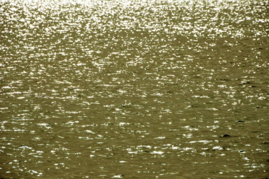 El oxígeno desaparece de los lagos: una amenaza silenciosa que podría alterar el equilibrio del planeta