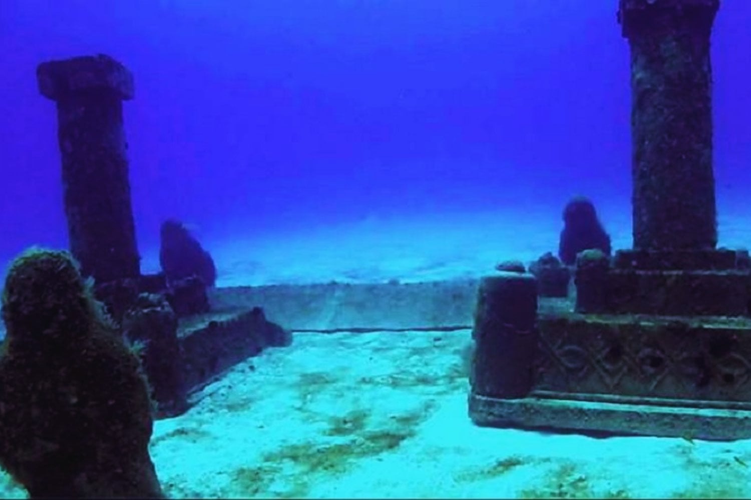 Un bosque y una ciudad milenaria bajo el mar: ¿puede un hallazgo en la India reescribir la historia?