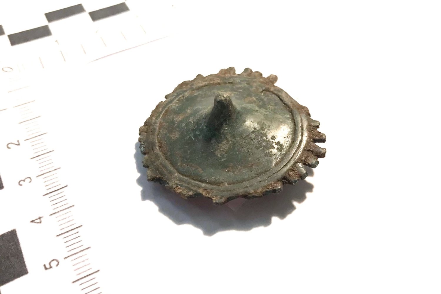 Un cinturón romano olvidado entre árboles: el misterioso objeto hallado en un bosque de Polonia