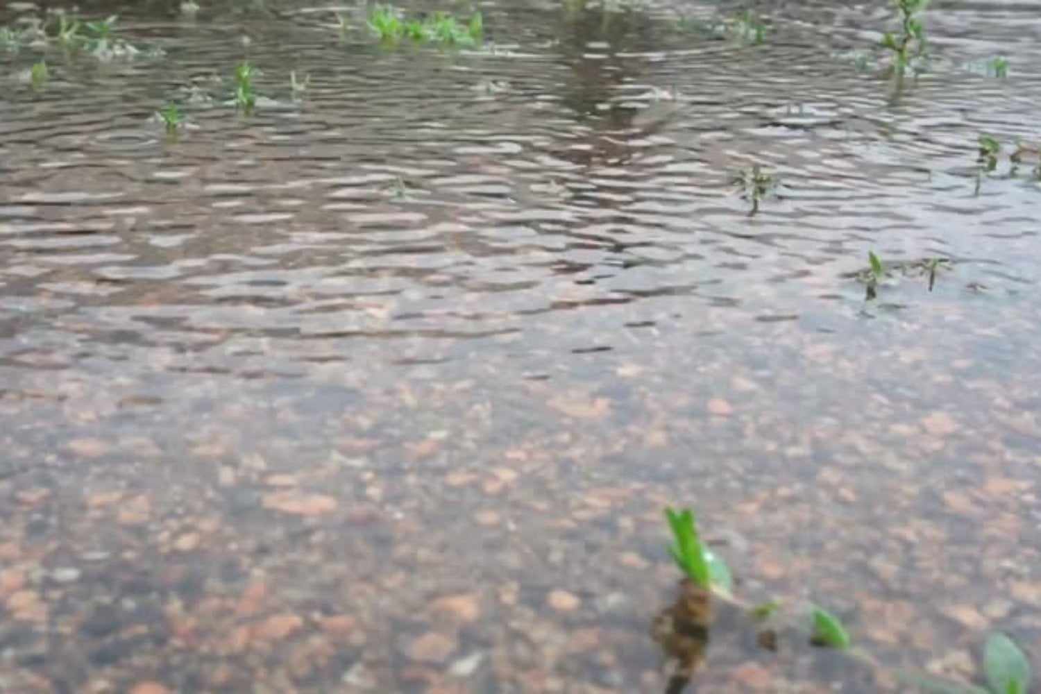 El oxígeno desaparece de los lagos: una amenaza silenciosa que podría alterar el equilibrio del planeta