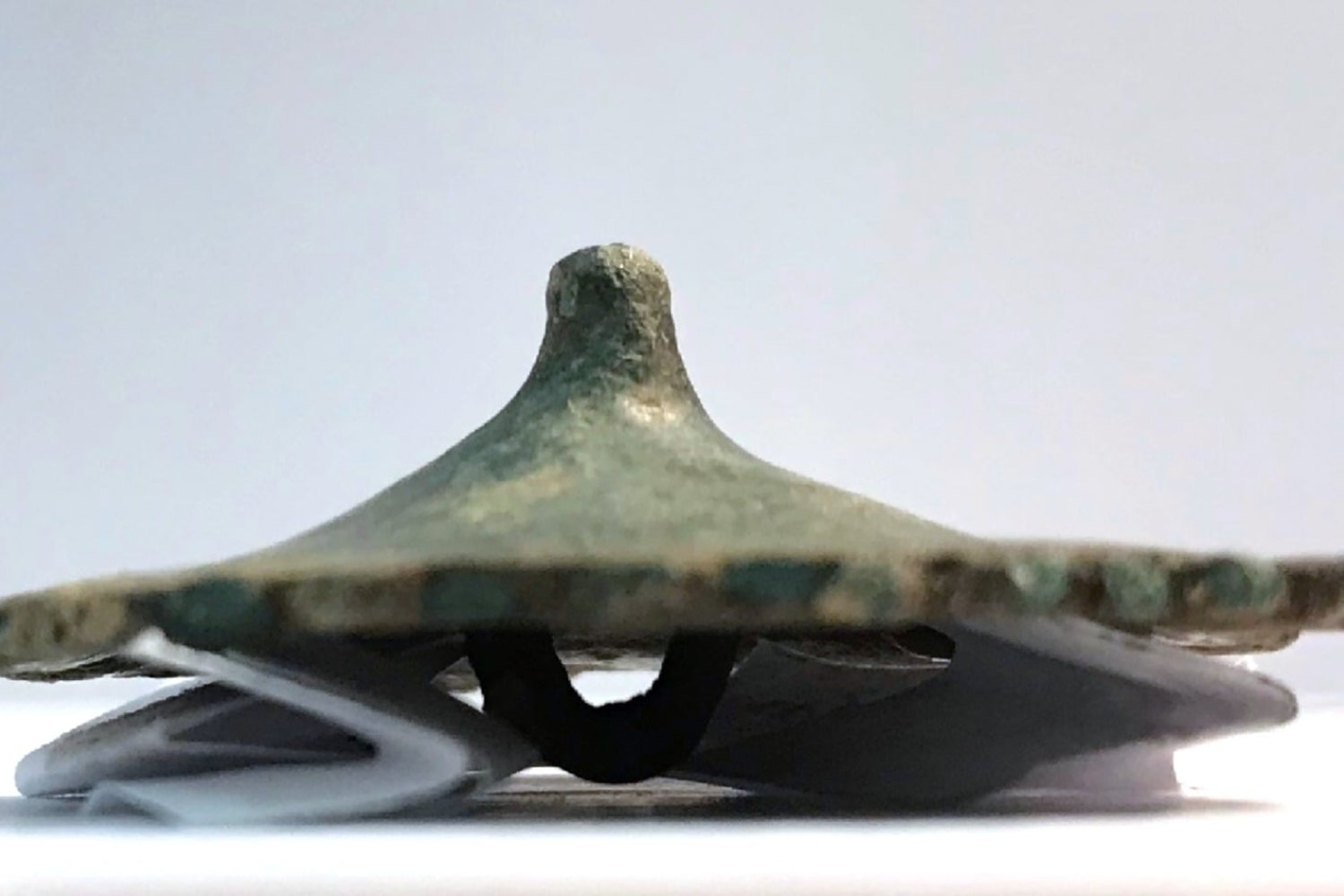 Un cinturón romano olvidado entre árboles: el misterioso objeto hallado en un bosque de Polonia