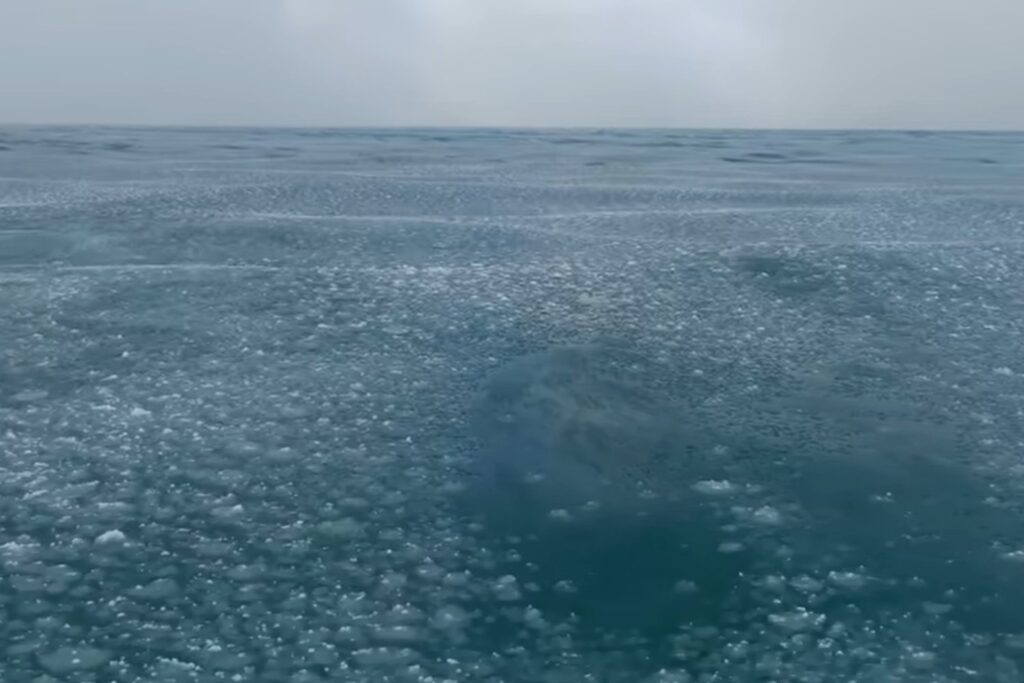 El regreso de las olas de hielo: así se ve el misterioso espectáculo invernal del Lake Michigan