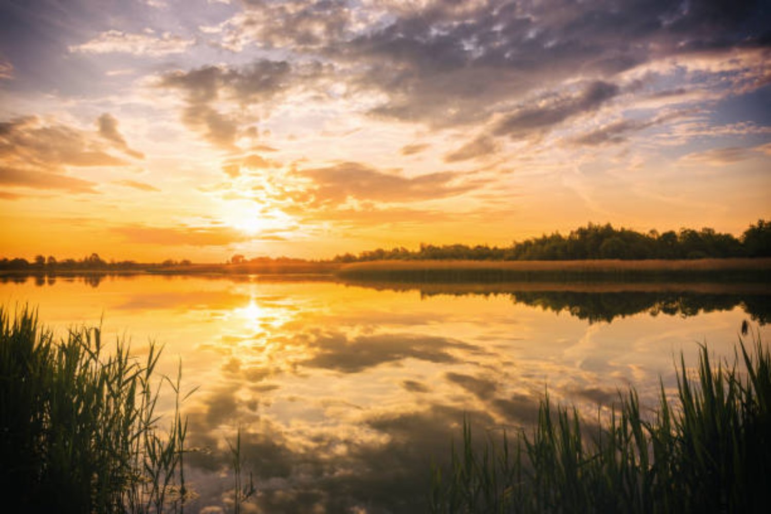 El oxígeno desaparece de los lagos: una amenaza silenciosa que podría alterar el equilibrio del planeta