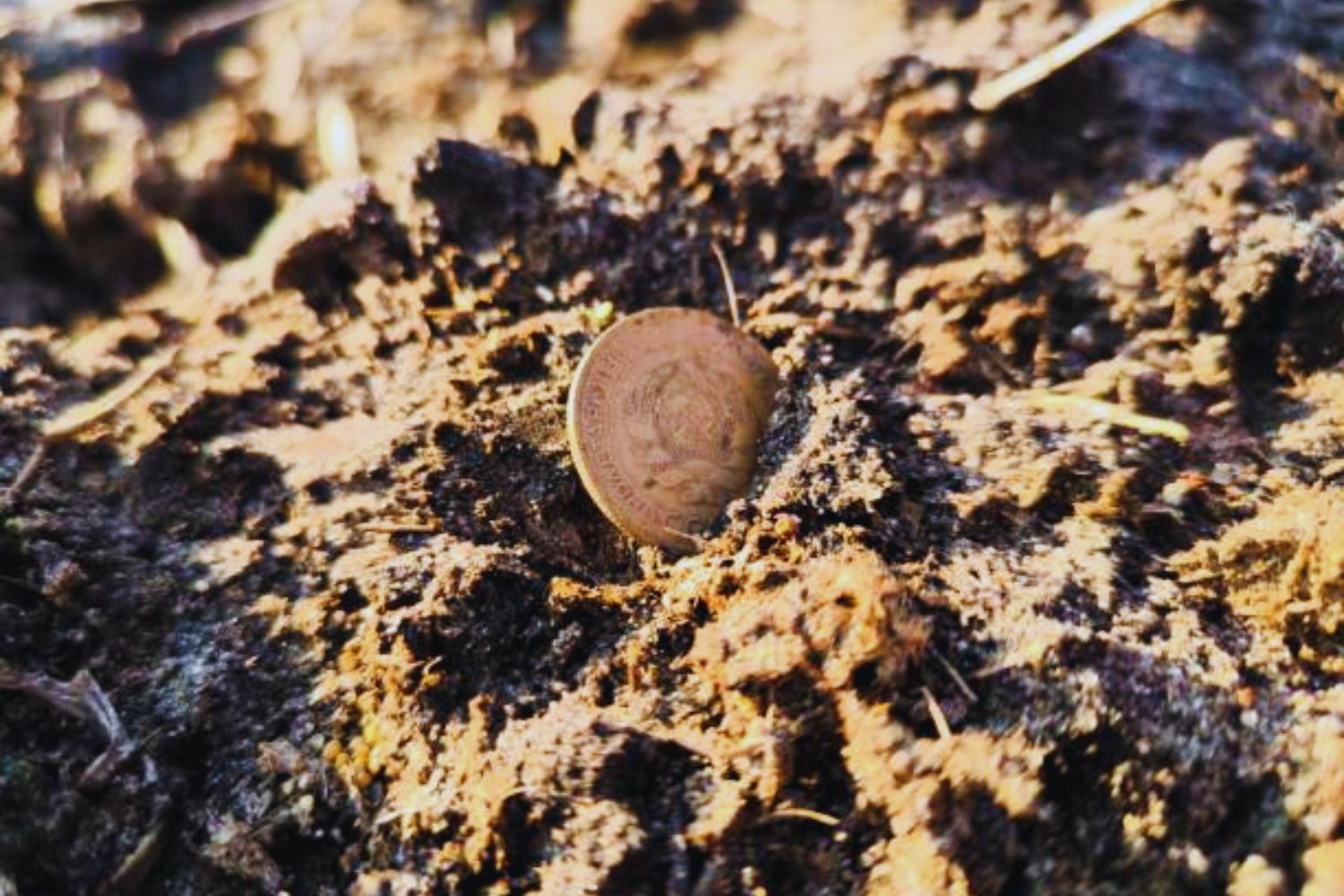 El hallazgo inesperado en Inglaterra que reescribe parte de su historia milenaria