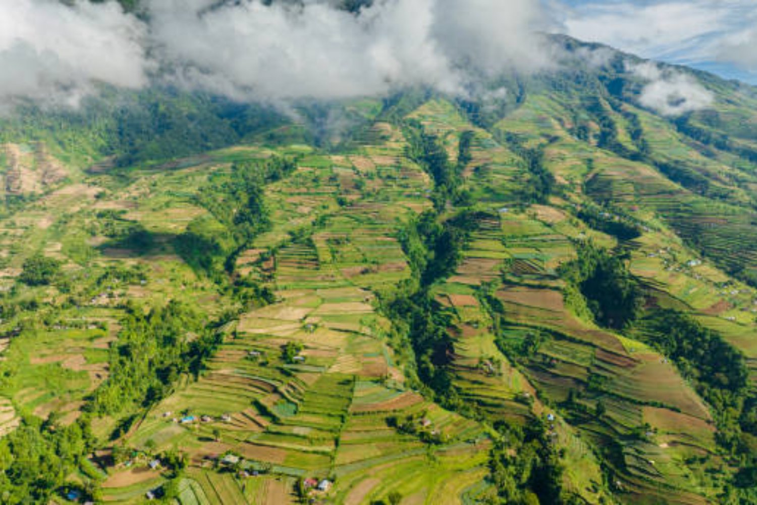 Una nube de ceniza de 4 kilómetros y una alerta que no cesa: el volcán Kanlaon vuelve a estremecer Filipinas