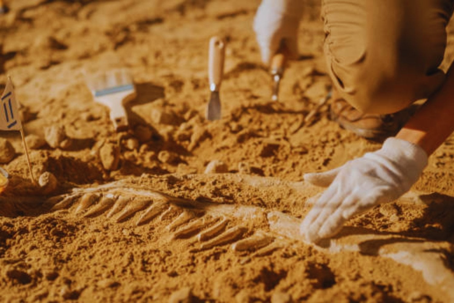 Un fósil inesperado revela que los dinosaurios no estaban solos en el dominio de la Tierra