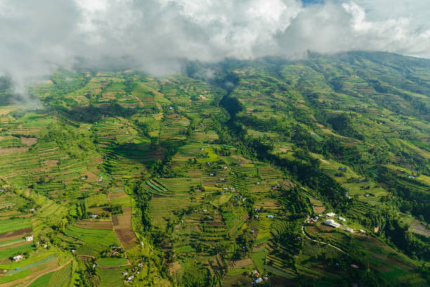 Una nube de ceniza de 4 kilómetros y una alerta que no cesa: el volcán Kanlaon vuelve a estremecer Filipinas