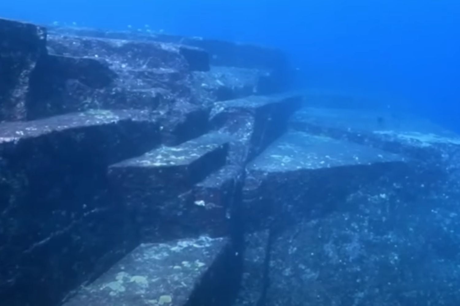 Diseño Sin Título (18)