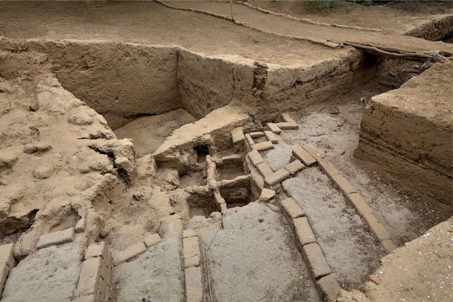 Diseño Sin Título (19)