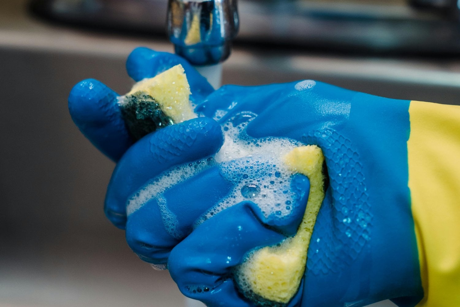 La mezcla mágica: ingredientes comunes, resultados asombrosos