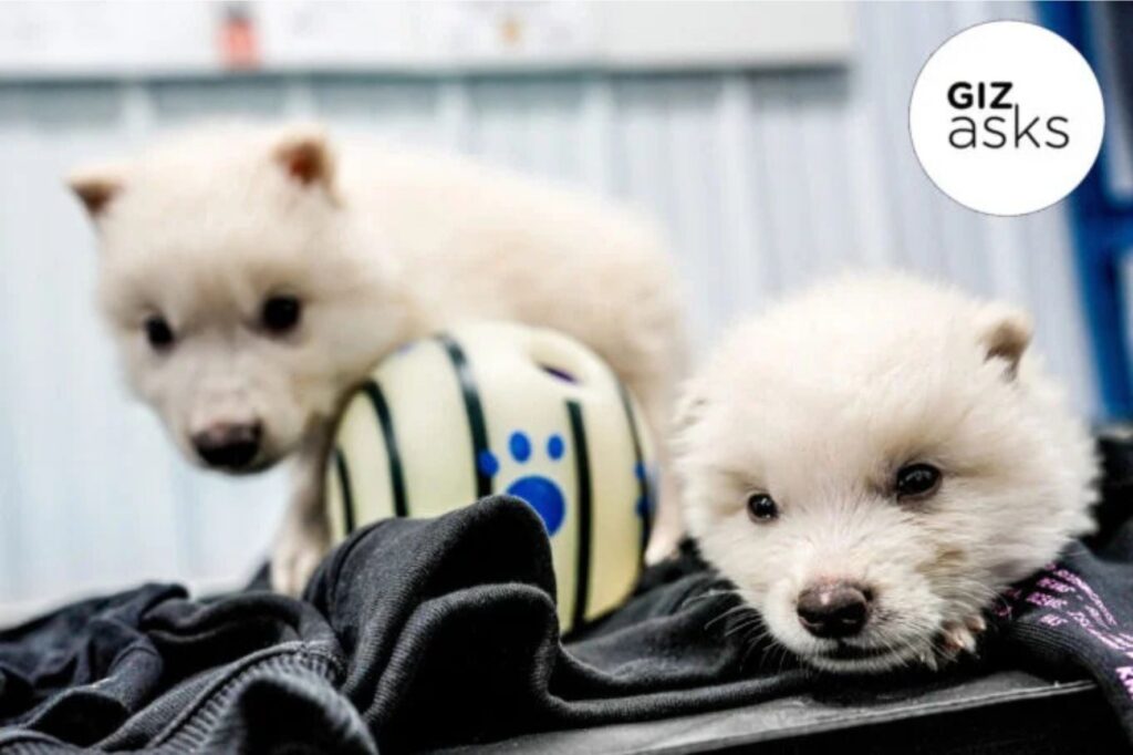 Diseño Sin Título 2025 04 11t175227.165