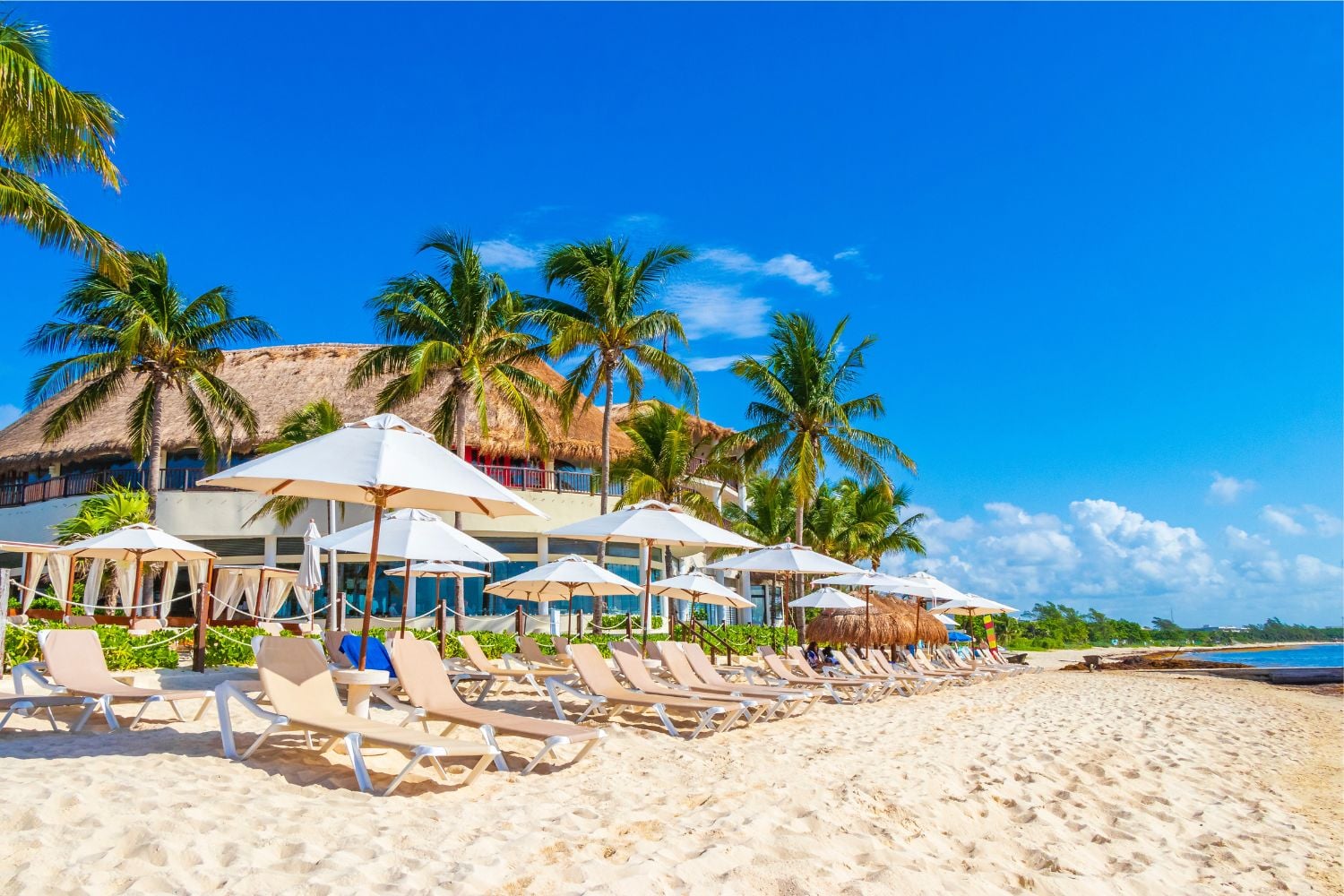 Diseño Sin Título 2025 04 12t110510.776