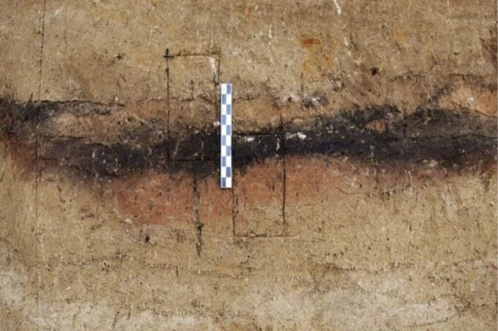 Diseño Sin Título 2025 04 16t000054.937