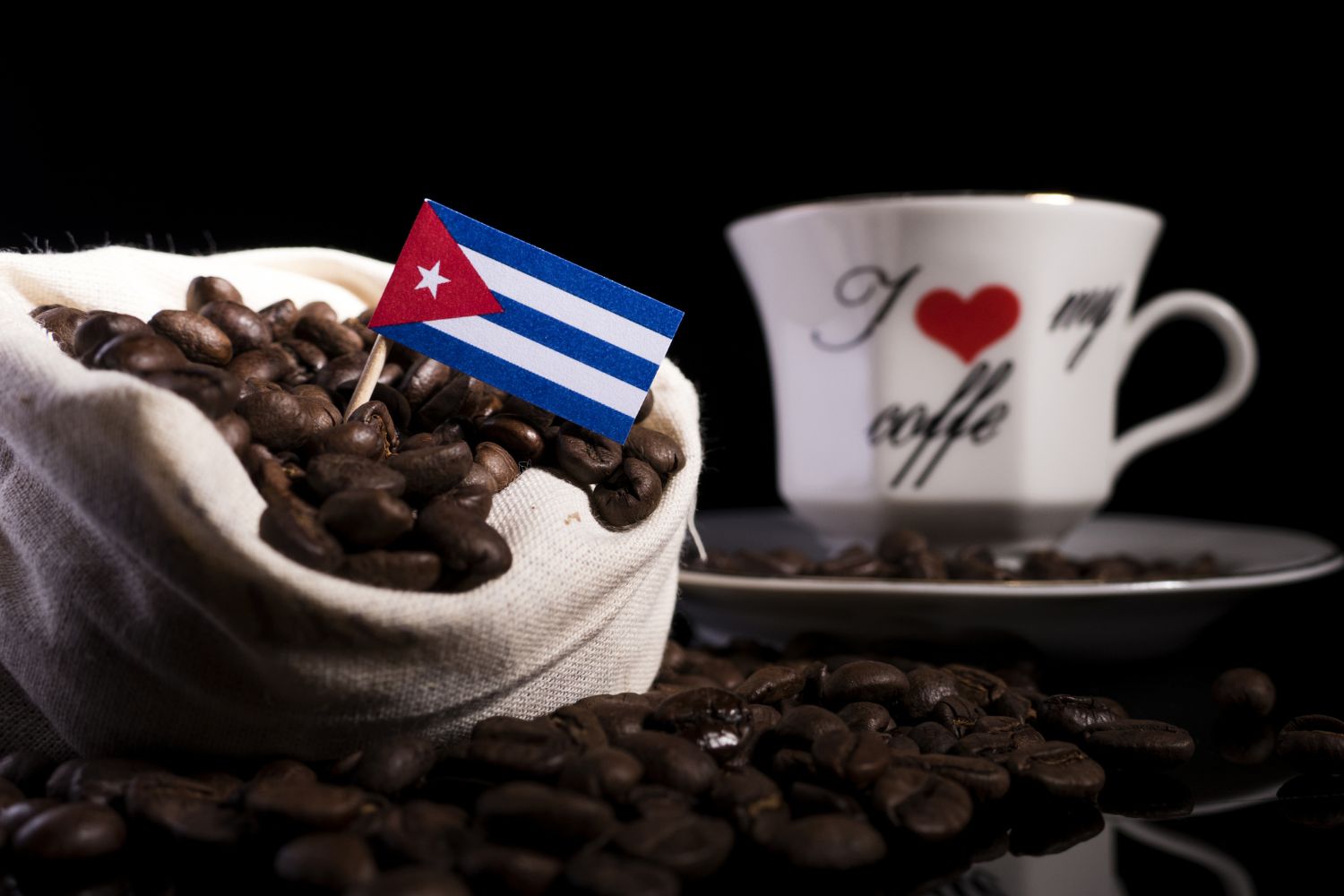 Diseño Sin Título 2025 04 20t094905.552