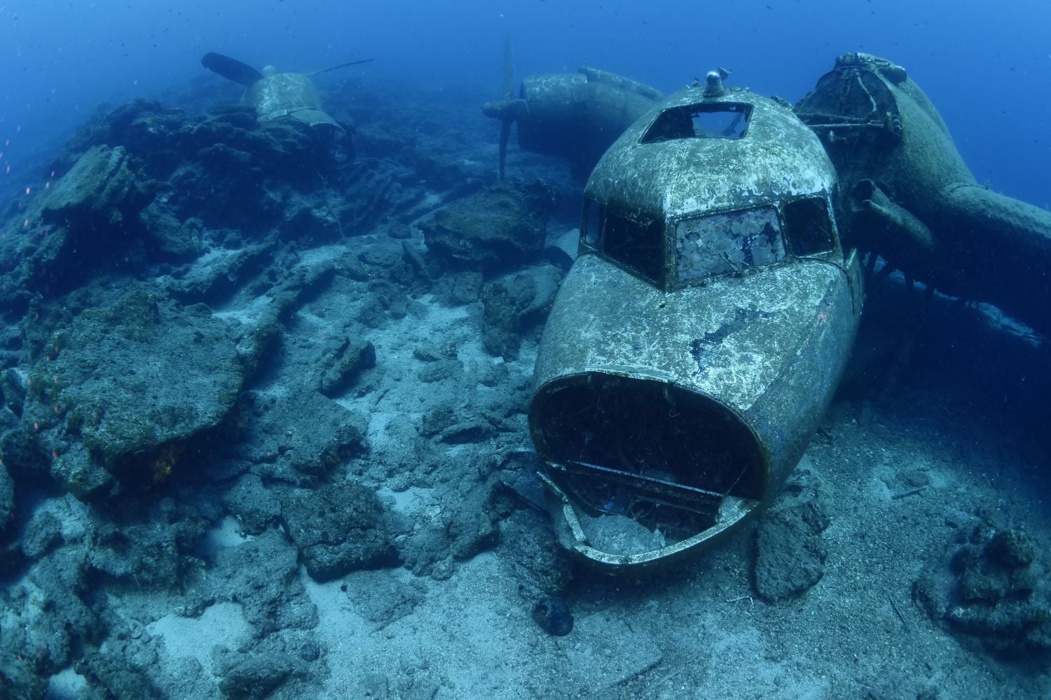 Diseño Sin Título 2025 04 25t144902.755