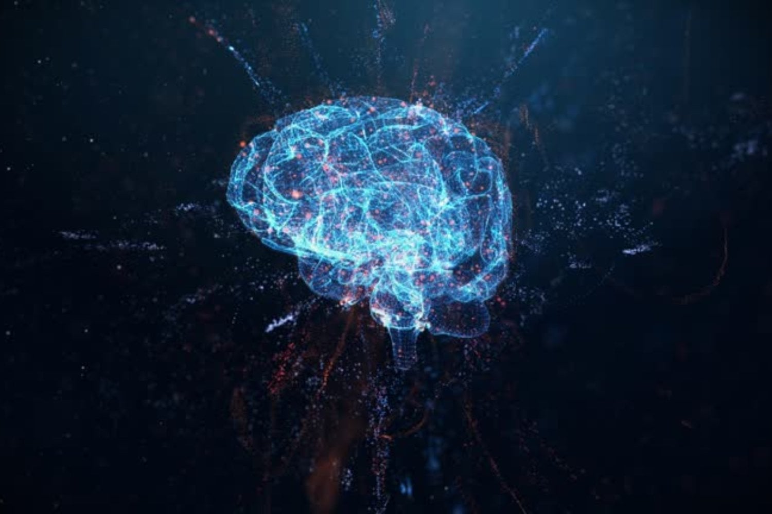 La inesperada puerta cerebral que abre el mundo de la consciencia