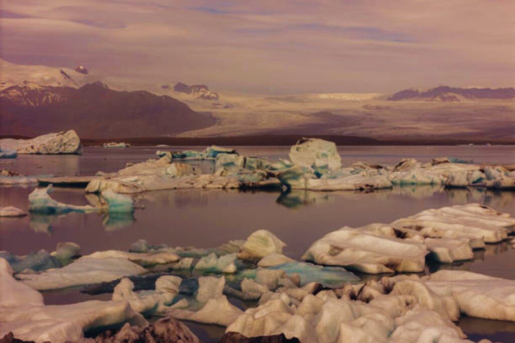 El iceberg A-84 revela un espectáculo abisal: graban por primera vez un calamar ‘de cristal’ en la Antártida