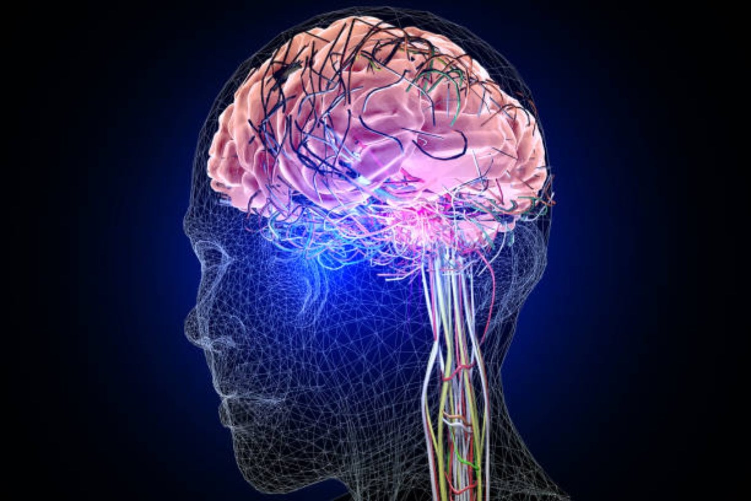 La inesperada puerta cerebral que abre el mundo de la consciencia