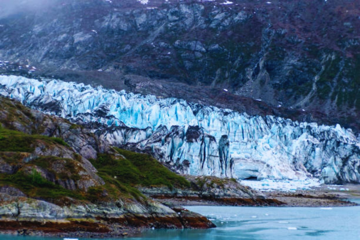 El iceberg A-84 revela un espectáculo abisal: graban por primera vez un calamar ‘de cristal’ en la Antártida