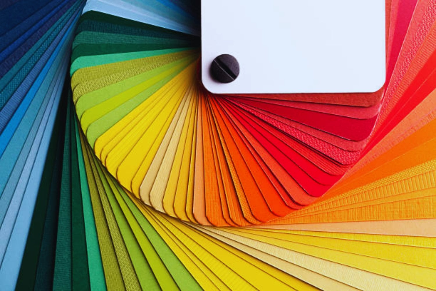 El nuevo color que desconcierta a la ciencia: así es Olo, el tono que tu ojo no puede ver (aún)