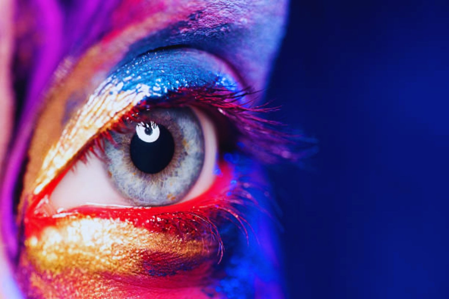 Los colores secretos del mundo: lo que los humanos no ven pero los animales sí