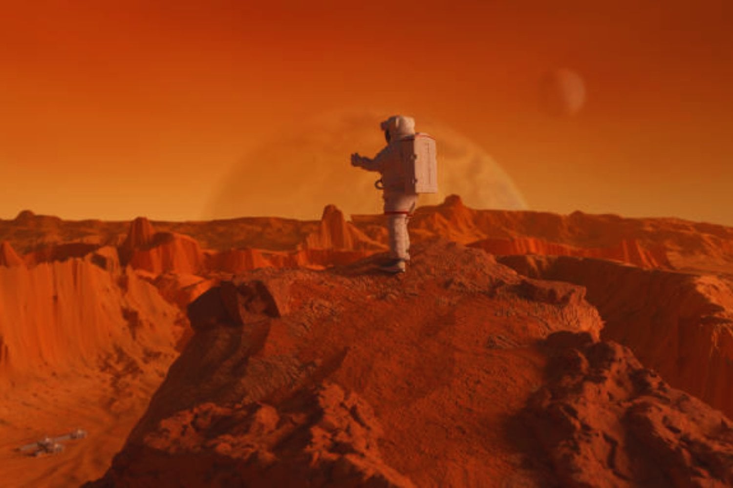 Un musgo que desafía a Marte: el hallazgo chino que podría cambiar la exploración espacial