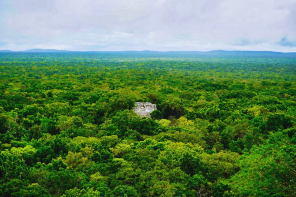 Un altar que no debería estar allí: el hallazgo que reescribe la historia maya