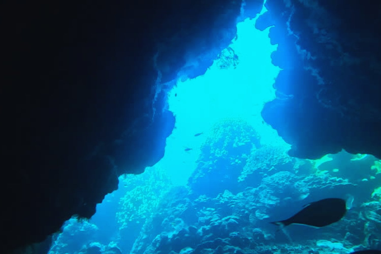 Un misterio en las profundidades que podría cambiar lo que sabemos del océano