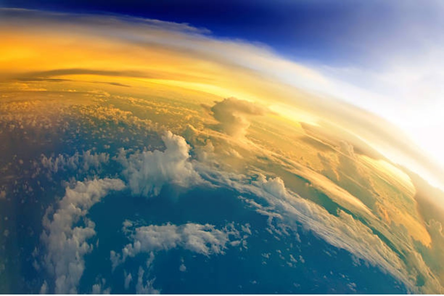 ¿El secreto mejor guardado del espacio? La criatura que desafía las leyes de la vida