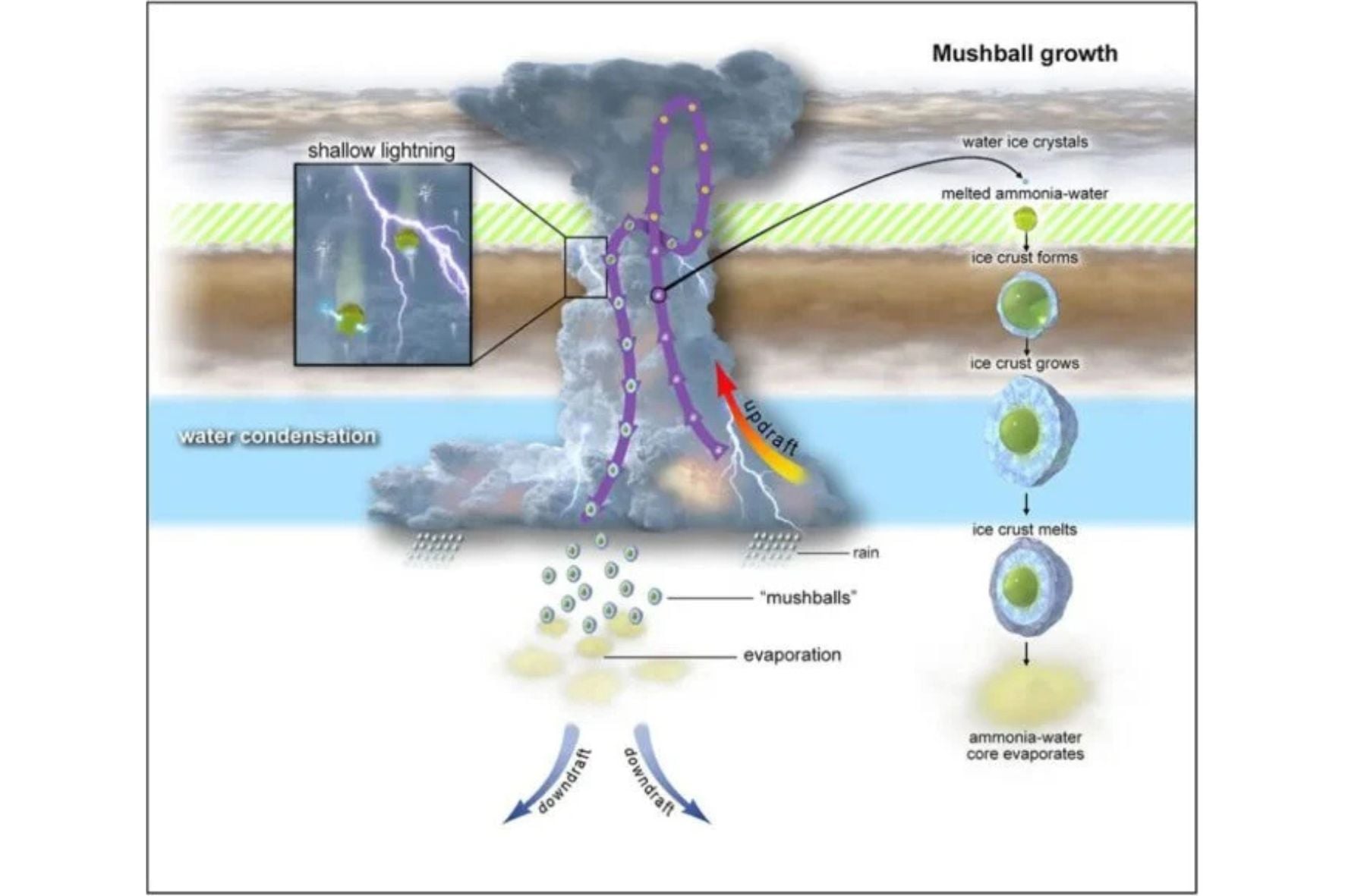 Diseño Sin Título (33)