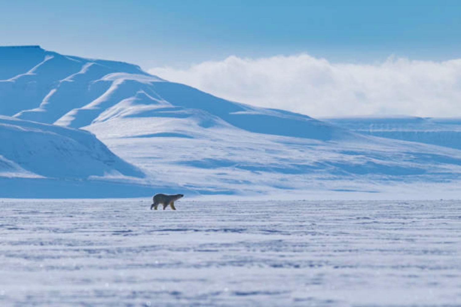 El inquietante movimiento del Polo Norte que podría cambiar nuestra relación con la Tierra