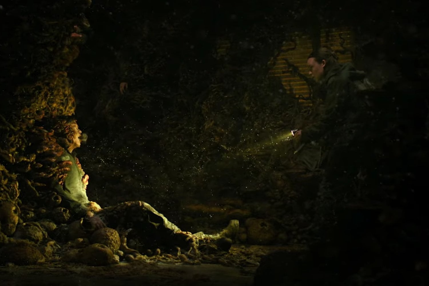The Last of Us.